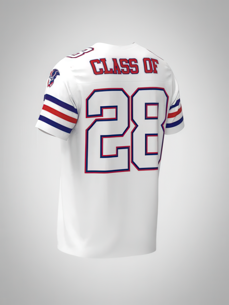 2028-back-gigapixel-low resolution v2-6x